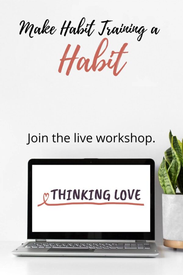 Habit Training in Real Life - Thinking Love